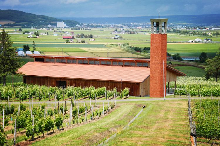 葡萄酒愛(ài)好者們看這里!北海道葡萄酒廠攻略