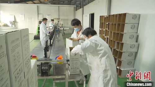 新疆昌吉葡萄酒企業(yè)忙 訂單 力爭實(shí)現(xiàn)首季 開門紅