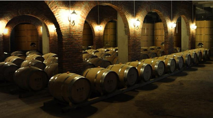 【看長(zhǎng)江之變】生態(tài)君子谷:綠色山谷里的甜蜜事業(yè)