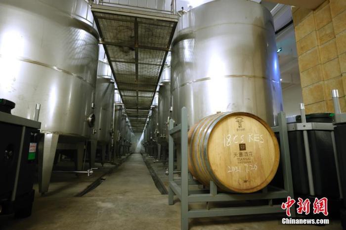 天山南北&ldquo;掛明珠&rdquo;新疆正&ldquo;釀&rdquo;葡萄酒大產業