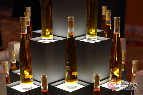 滇粵情深, 香 約羊城 香格里拉紅酒文化節(jié)在廣州舉行