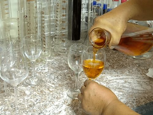 新站林場(chǎng)茂興營(yíng)林股 發(fā)展林下經(jīng)濟(jì) 走生態(tài)致富路