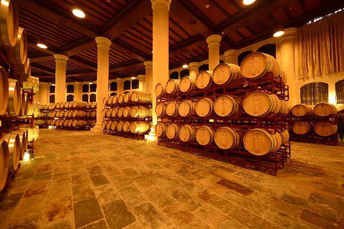 新疆對葡萄酒產業(yè)進行調研