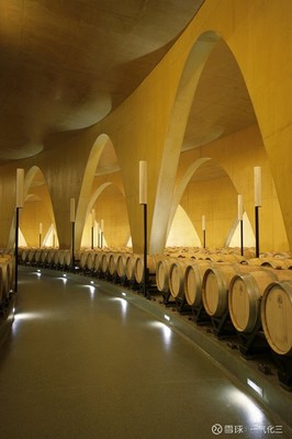 Anti&oacute;n酒莊:提供完美葡萄酒體驗的建筑藝術(shù)杰作