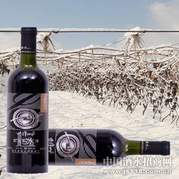 紫隆山紅寶石冰酒 品味時(shí)光凝萃，共創(chuàng)財(cái)富未來(lái)——通化紫隆山葡萄酒廠火熱招商